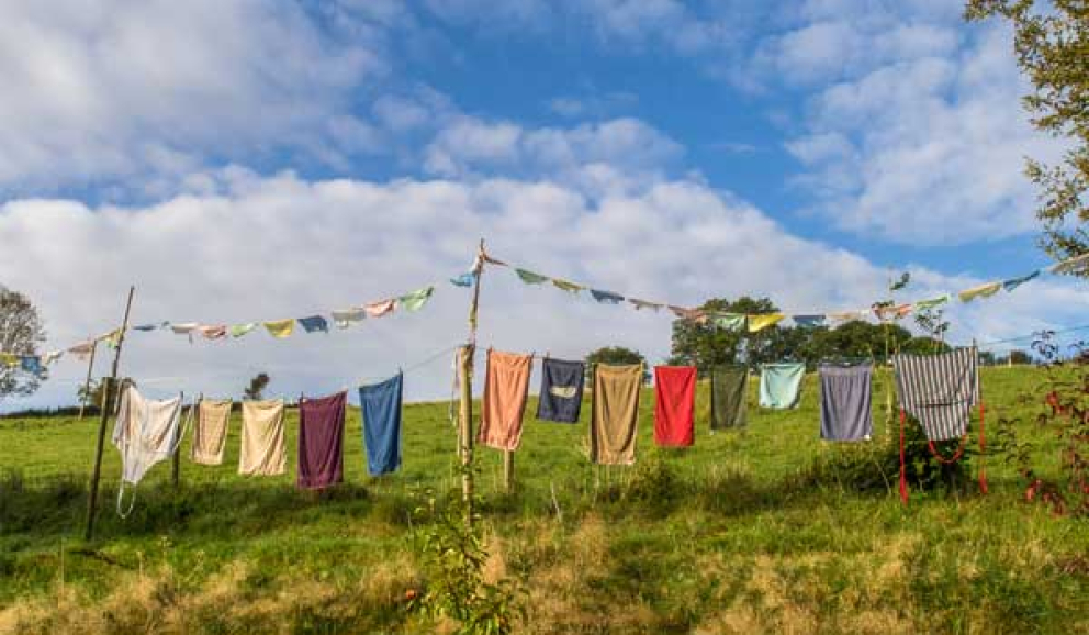 towels_on_the_line_at_the_barn