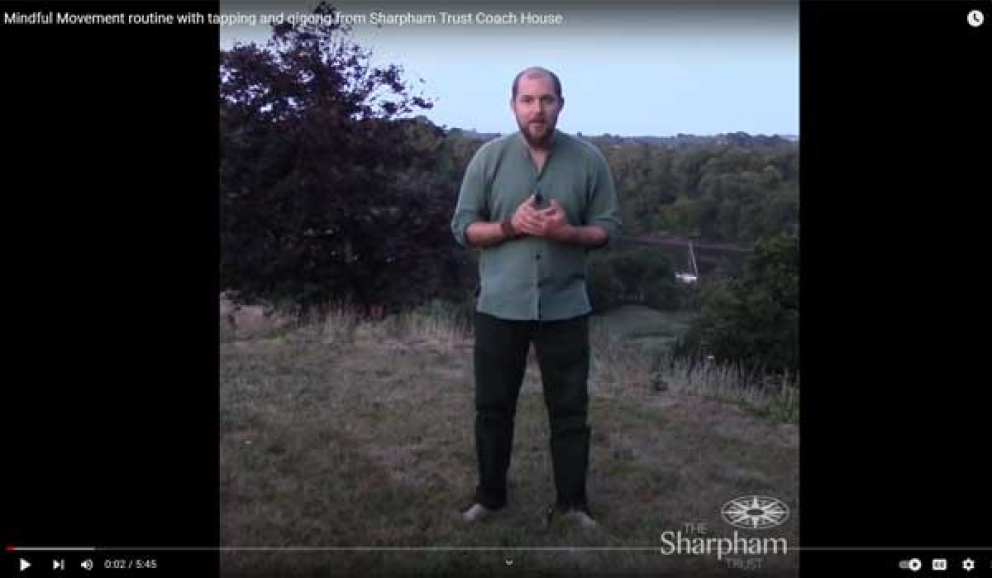 Mindful Movement Video