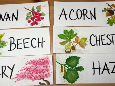 New room labels designed by artist and Barn retreatant Karen