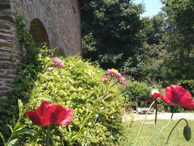 The front of The Barn in summer