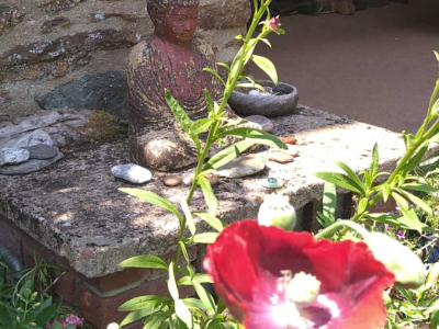 Buddha's abundance