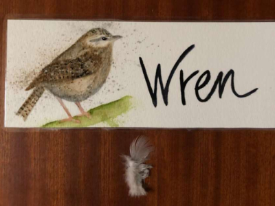 New room labels designed by artist and Barn retreatant Karen