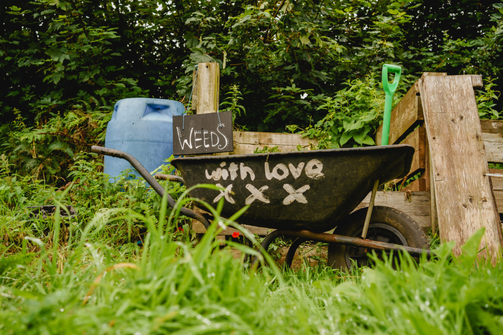 The Barn Gardens