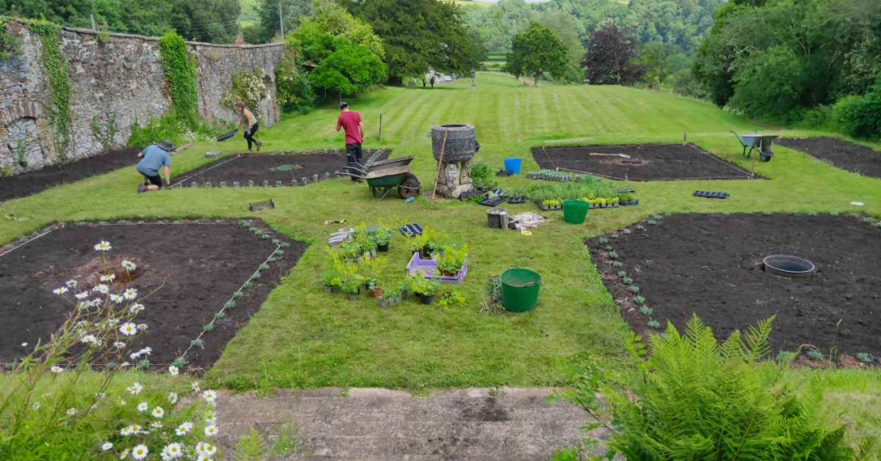 The preparation of the beds in the Percy Cane garden in June 2021