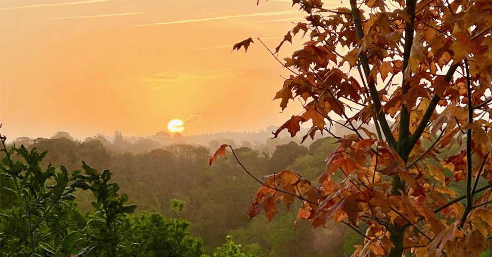 A Coach House retreatant's view of the sunrise at The Sharpham Trust mindfulness retreat centre
