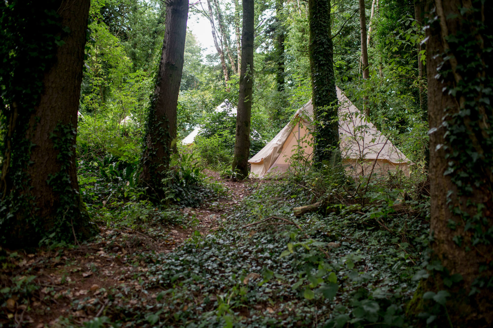Sharpham Trust Woodland Retreat