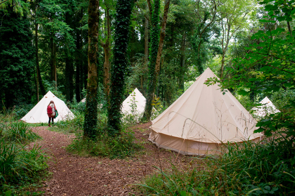 Sharpham Trust Woodland Retreats