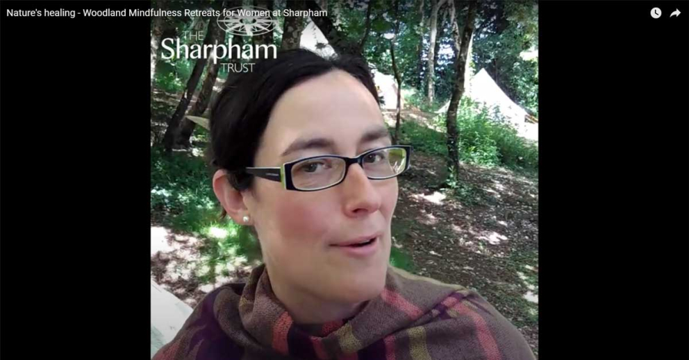 Women Woodland Retreats at Sharpham Trust
